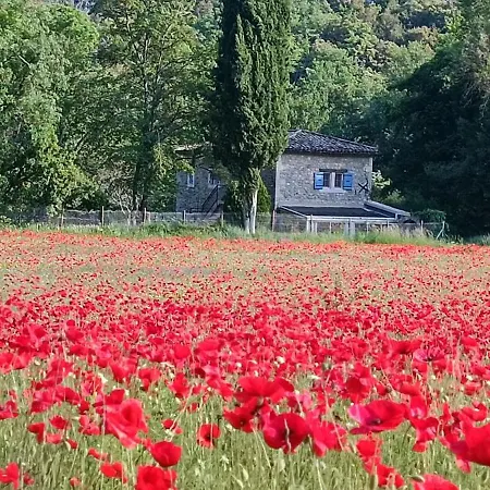 Moulin De Charme Lussan (Gard)