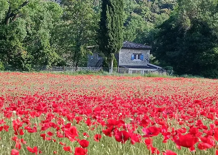Moulin De Charme Lussan (Gard)