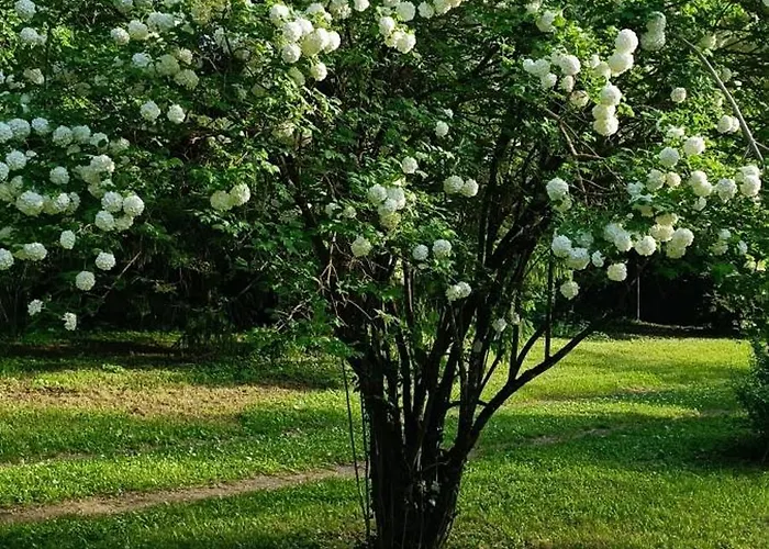 Casa de Férias Moulin De Charme *