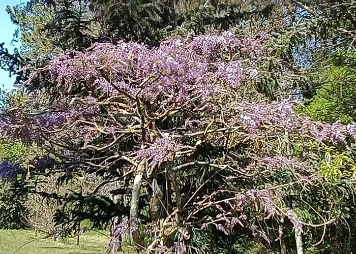Moulin De Charme * Lussan (Gard)